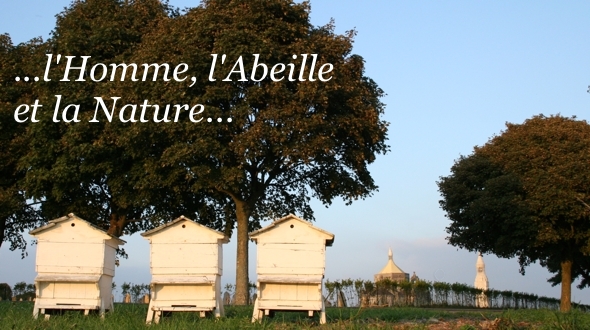 Le Domaine de l'abeillau: Spécialistes des produits de la ruche (Miels, Gelée Royale, Propolis...)